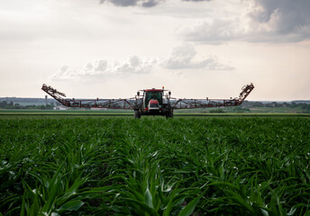 Red sprayer working in a field of corn