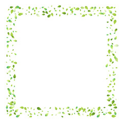 Leaves Green Falling Flying Foliage Leaf Tea Mint