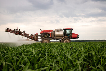 Red sprayer working on field of corn  - obrazy, fototapety, plakaty