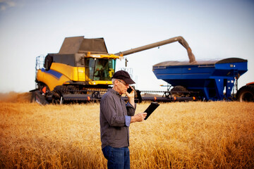 Farmer using a tablet to manage his harvest and talking on his cellphone with a combine offloading to a grain buggy in the background; Alcomdale, Alberta, Canada