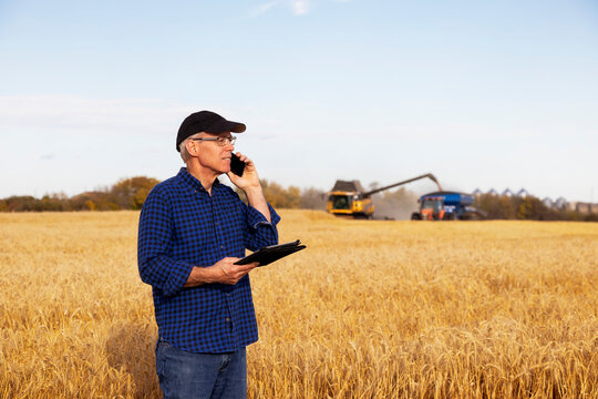 Farmer using a tablet to manage his grain harvest and talking on his cellphone with a combine offloading wheat to a grain buggy in the background; Alcomdale, Alberta, Canada