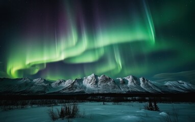 Aurora Above the Arctic Mountains