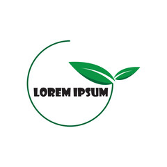 Leaves icon vector set isolated on white background. Various shapes of green leaves of trees and plants. Elements for eco and bio logos