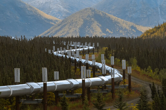 Part of the Trans-Alaska oil pipeline system; Alaska, United States of America
