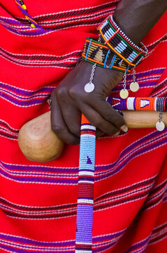 Hand and clubs of a Masai warrior; Masai Mara, Kenya