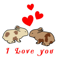 Love,rabbit and heart,