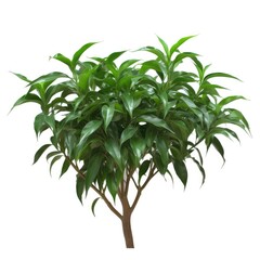 Lone Green Tree Standing Tall Against White Background generative AI