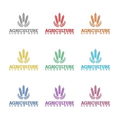 Fototapeta na wymiar Agriculture wheat Logo Template icon isolated on white background. Set icons colorful