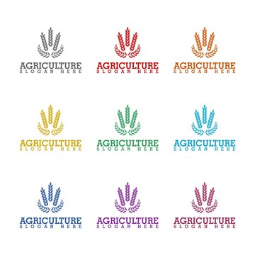 Agriculture wheat Logo Template icon isolated on white background. Set icons colorful