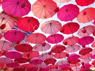 Pink Umbrella 