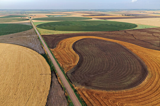 Center-pivot irrigation systems etch circles of grain and other plants in Finney County, Kansas.; Finney County, Kansas.