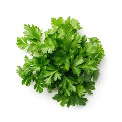Fototapeta premium Parsley isolated on white background. Generative AI