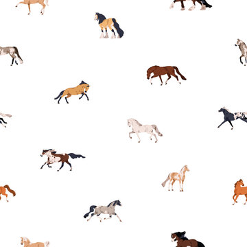 Horses of different breeds, seamless pattern. Endless background, texture design with stallions. Equine animals repeating print, wallpaper. Flat vector illustration for decoration, package, textile
