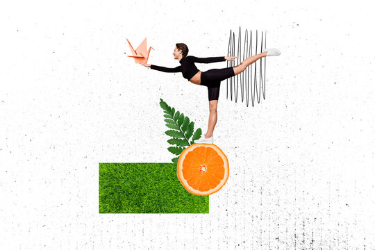 Creative photo collage of young sportive woman professional gymnast warmup hold origami bird stay orange slice isolated on white background
