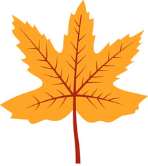 Autumn fall leaves decoration element, flat style illustration.