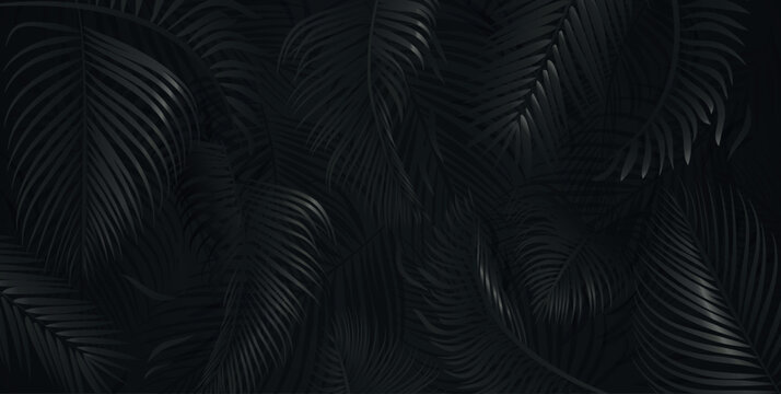 Black palm tree leaves on black background. Tropical palm leaves, floral pattern vector illustration.
