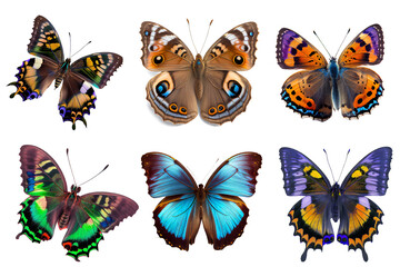 Fototapeta na wymiar beautiful butterflies for decoration content on transparent background (png)