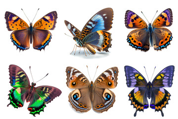 Obraz na płótnie Canvas beautiful butterflies for decoration content on transparent background (png)