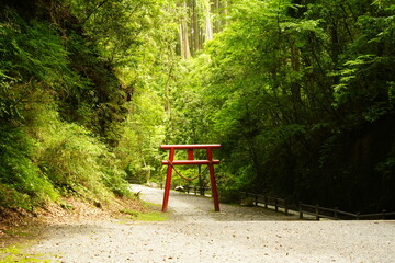Mizonokuchi Doketsu or Cave in Kagoshima, Japan - 日本 鹿児島 溝ノ口洞穴 鳥居