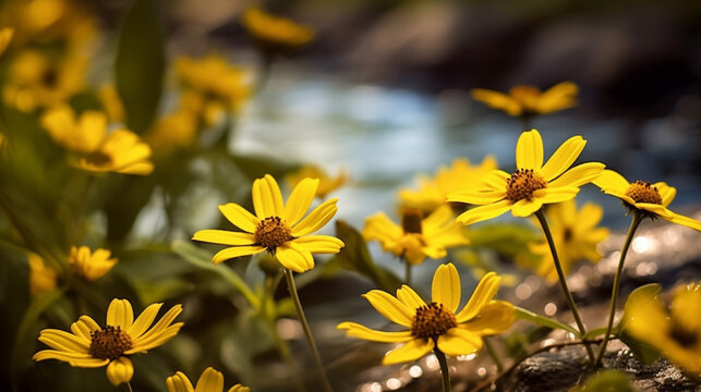 yellow flowers in spring HD 8K wallpaper Stock Photographic Image