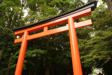 Torii Gate of Kirishima-jingu Shrine in Kagoshima, Japan - 日本 鹿児島 霧島神宮 鳥居
