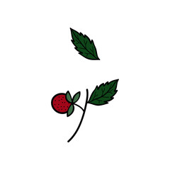 Strawberry branch with leaves. Botanical element on a white background with wild strawberries or strawberries, leaves. Summer garden design elements for invitation, greeting, textile, background, wall