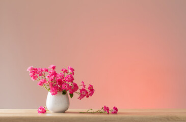 pink roses in ceramic vase on light red background