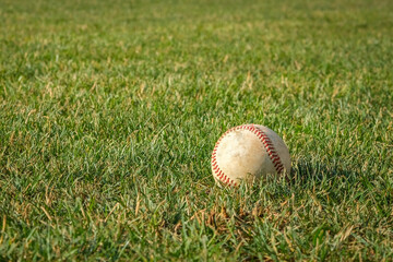 Ball from baseball game on the grass.
