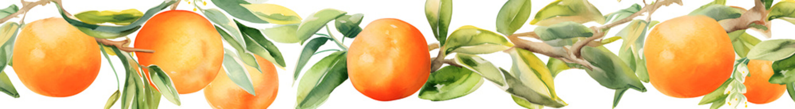 Orange watercolor illustration, summer banner. Citrus fruit branch orange, isolated on white background