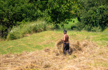 A man working in the field to gather hay