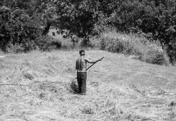 A man working in the field to gather hay