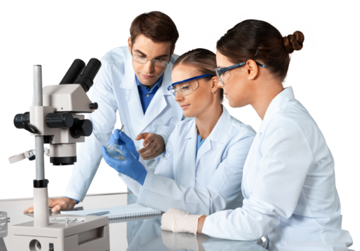 Scientists and Researcher Working