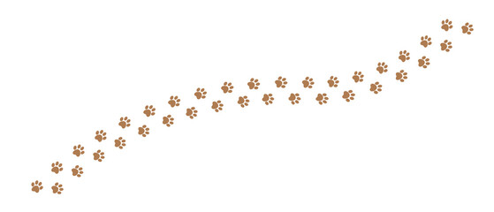 Brown animal dog footprints, paw track	
