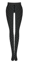 Woman fishnet leggings. vector illustration