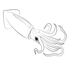 a squid hand drawing with black and white line