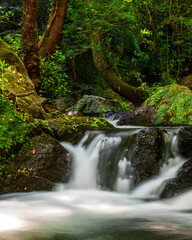 Treja river, Mazzano romano, Rome, italy