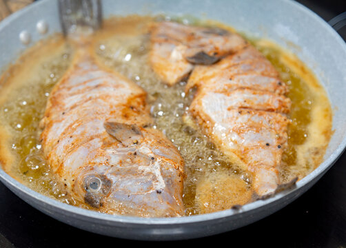 Clean and seasoned Pero&aacute; fish (Balistes capriscus) . Typical fish from the coast of Esp&iacute;rito Santo (Capixaba) Brazil, known as "peixe porquinho". Atlantic Ocean fish.