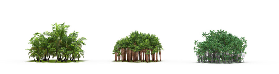 group of trees with a shadow on the ground, isolated on a white background, trees in the forest, 3D illustration, cg render