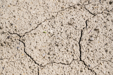 ひび割れた地面