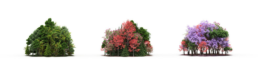 group of trees with a shadow on the ground, isolated on a transparent background, trees in the forest, 3D illustration, cg render