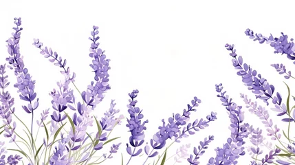 Fotobehang lavender flowers background © Benjamin
