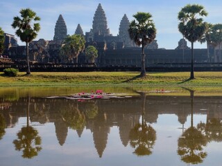 A pond with blooming lotus flowers near the famous Khmer temple of Angkor Wat.