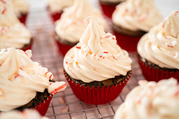 Chocolate peppermint cupcakes