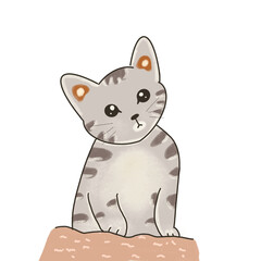 Fototapeta premium cat with a smile