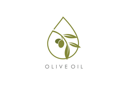 Olive oil logo design vector icon with modern creative idea