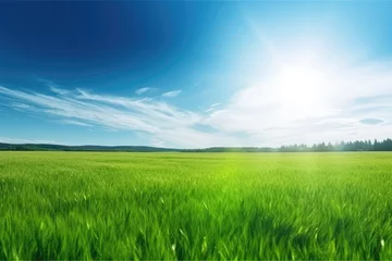 Abwaschbare Fototapete Grün Beautiful panoramic natural landscape of a green field with sun shining, AI