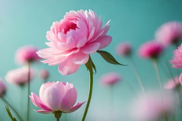 pink lotus flower in garden generated by AI tool