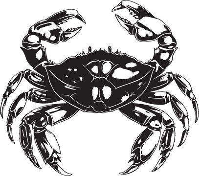 Hand Drawn Black Crab, Vector Illustration, SVG