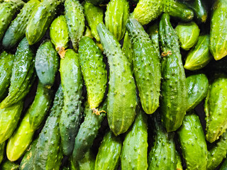 fresh cucumbers background