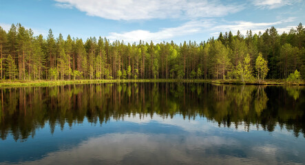 Fototapeta na wymiar Lake in the Karelian forest. Beautiful summer panoramic landscape with a pond and trees.